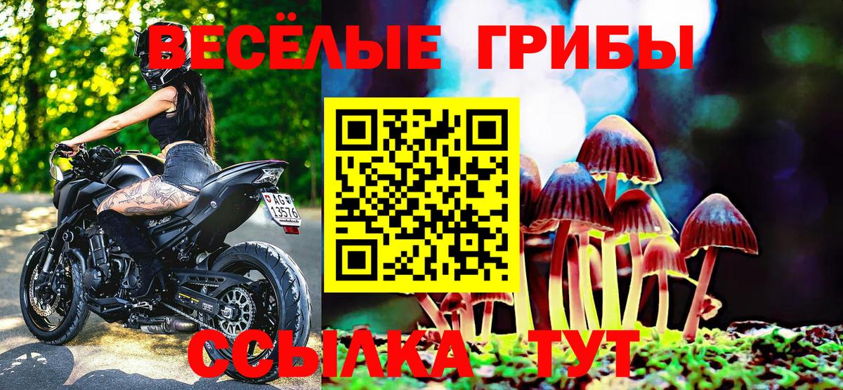 Йошкар-Ола  купить наркотик  Вход с VPN  Галлюциногенные грибы мухоморы  Псилоцибиновые грибы Magic Shrooms 