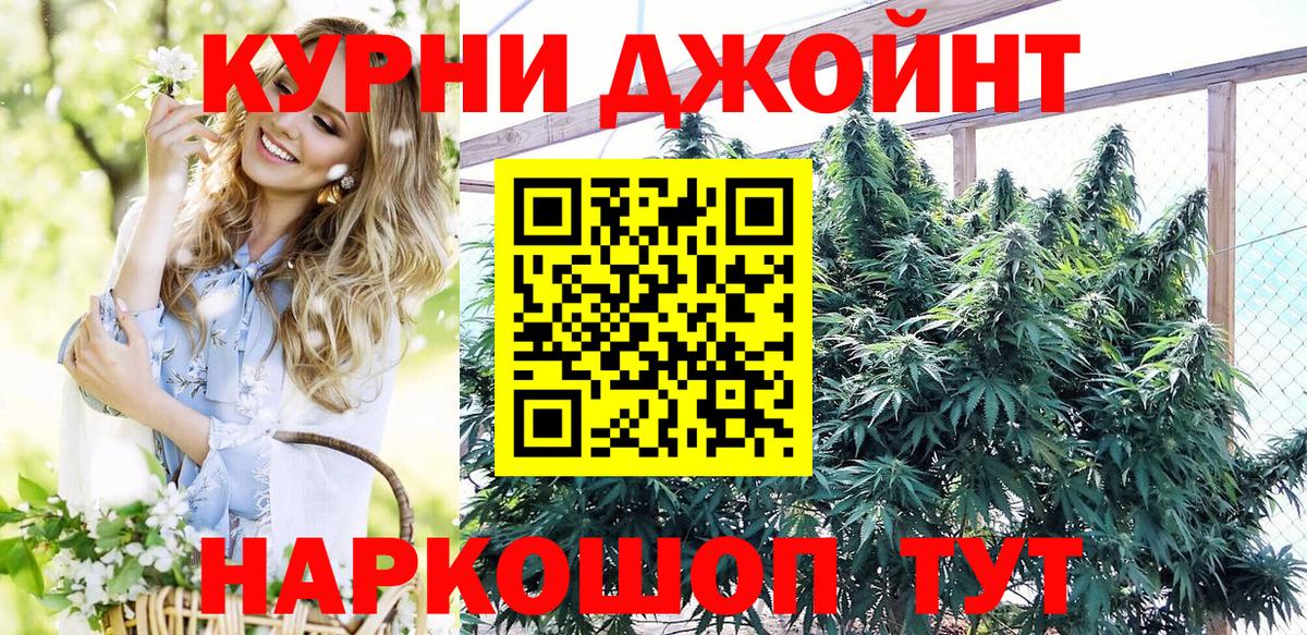 Марихуана OG Kush  Канабис семена  Бошки марихуана семена  Вход с VPN  Йошкар-Ола 